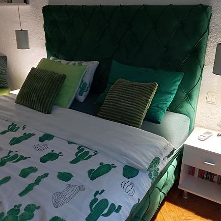Green Cactus Rooms - Unique And Cozy House Senta Esterno foto