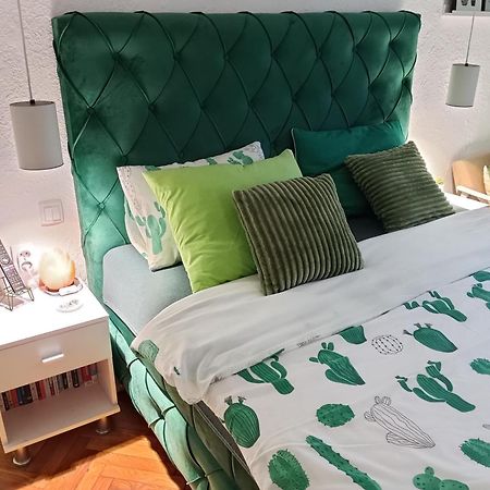 Green Cactus Rooms - Unique And Cozy House Senta Esterno foto
