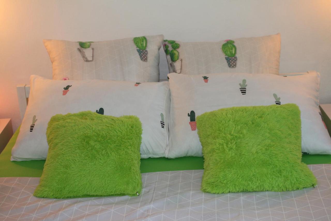 Green Cactus Rooms - Unique And Cozy House Senta Esterno foto