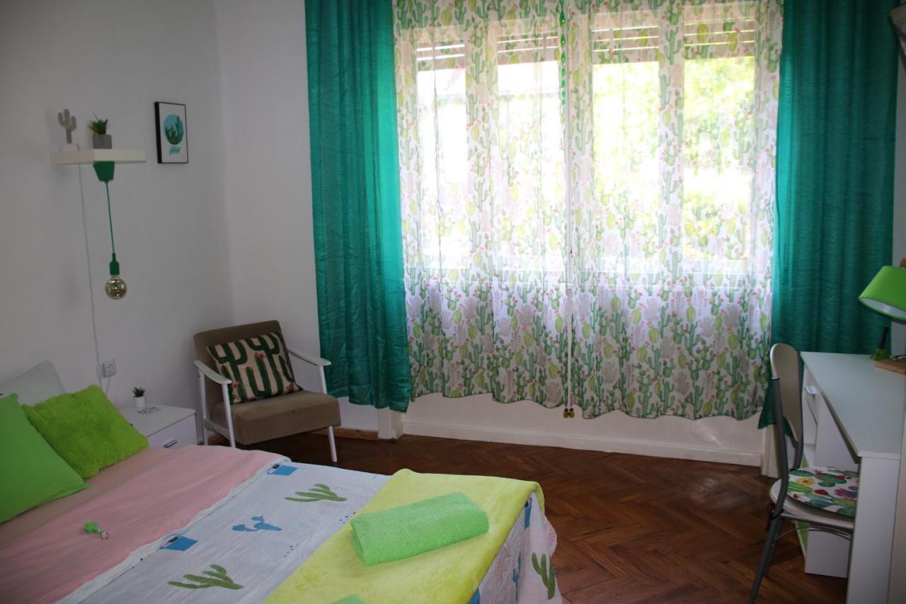 Green Cactus Rooms - Unique And Cozy House Senta Esterno foto