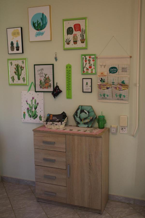 Green Cactus Rooms - Unique And Cozy House Senta Esterno foto