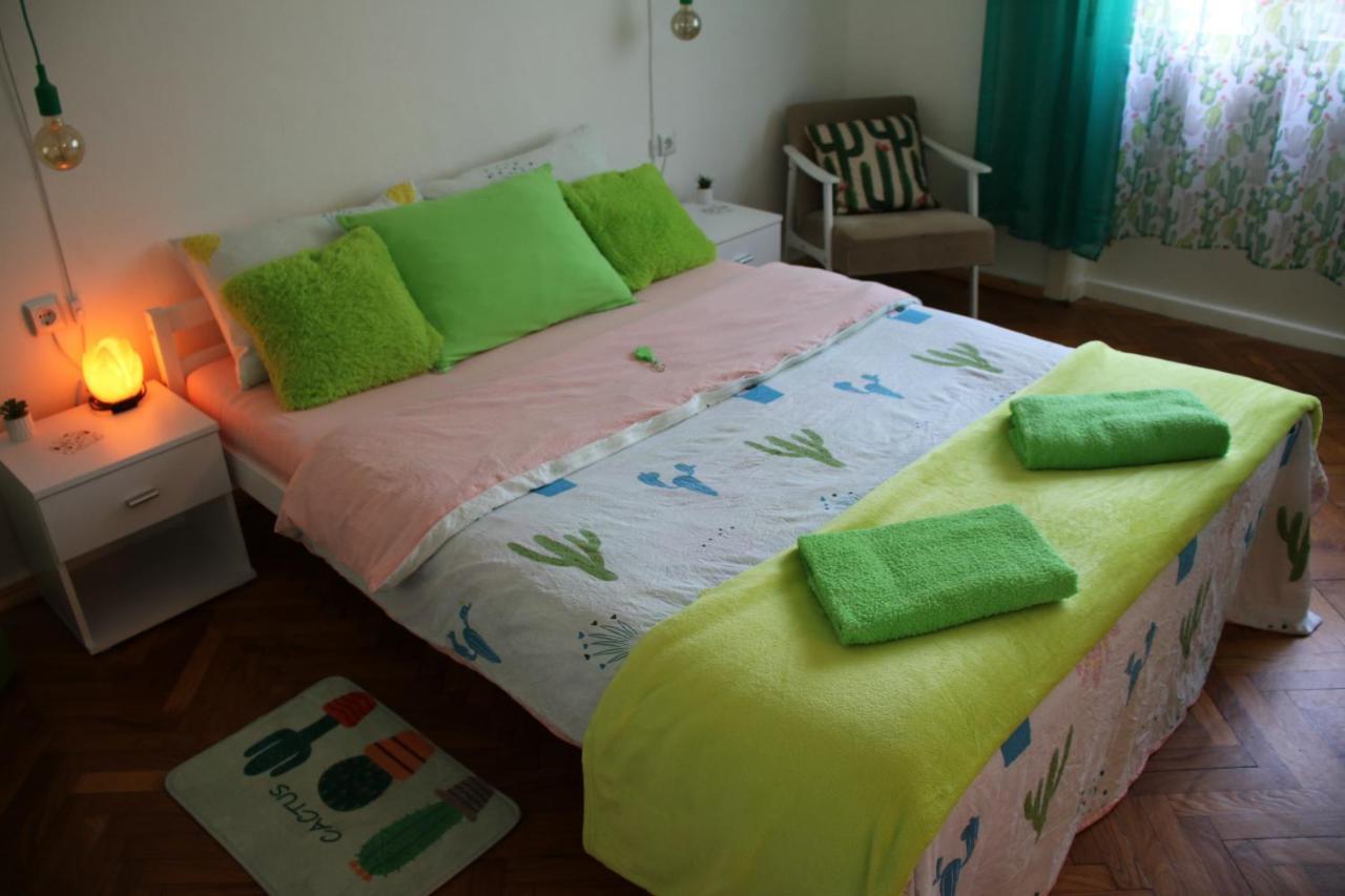 Green Cactus Rooms - Unique And Cozy House Senta Esterno foto