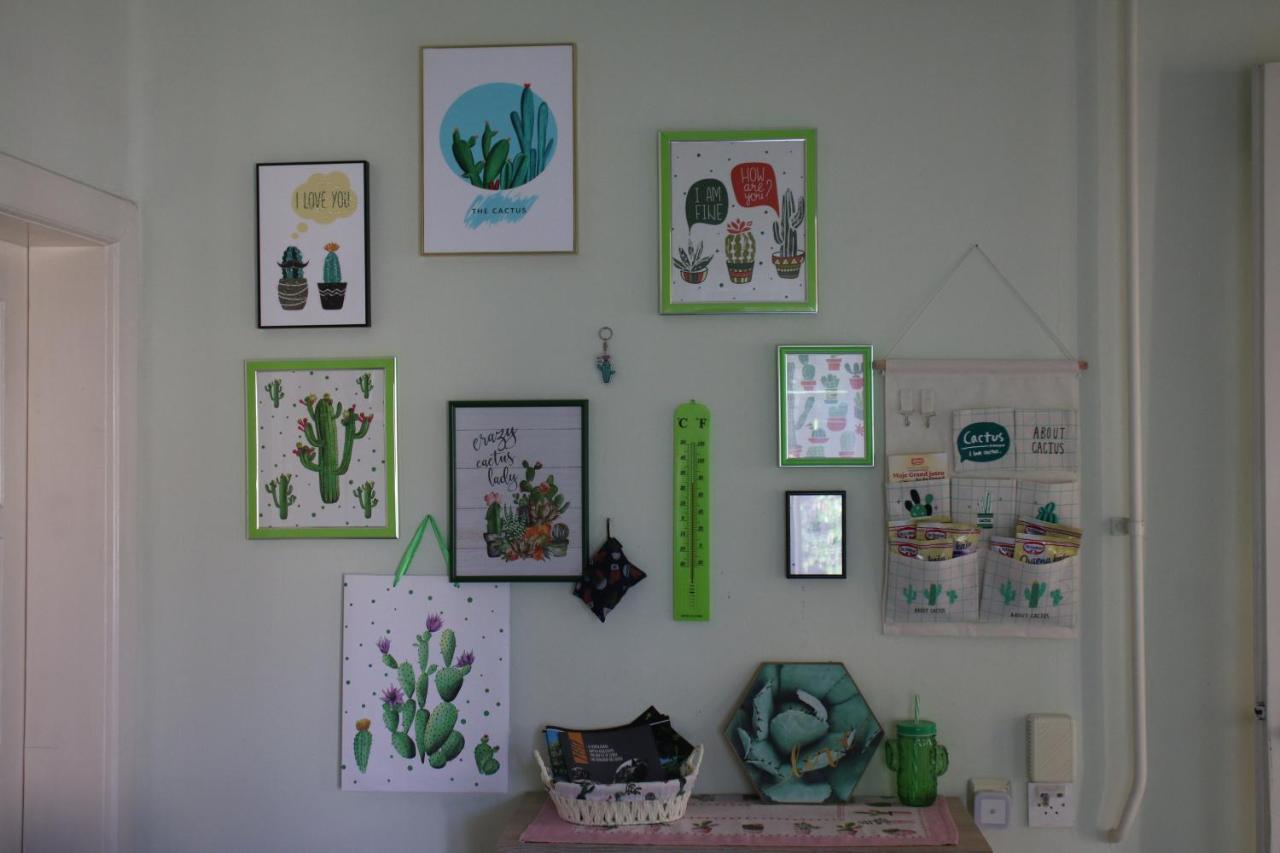 Green Cactus Rooms - Unique And Cozy House Senta Esterno foto