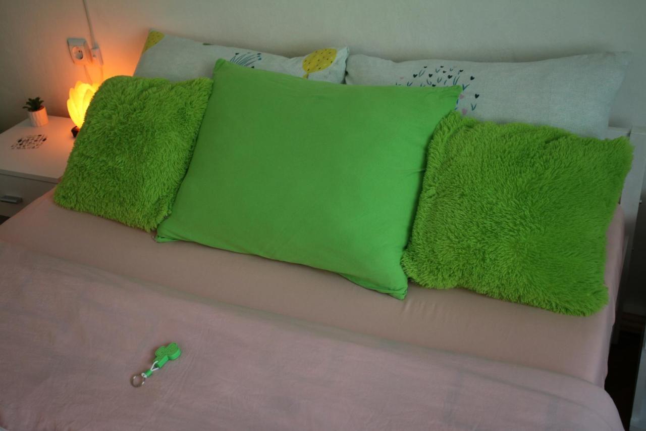 Green Cactus Rooms - Unique And Cozy House Senta Esterno foto