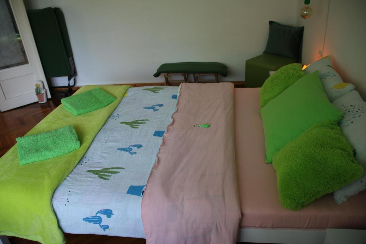 Green Cactus Rooms - Unique And Cozy House Senta Esterno foto