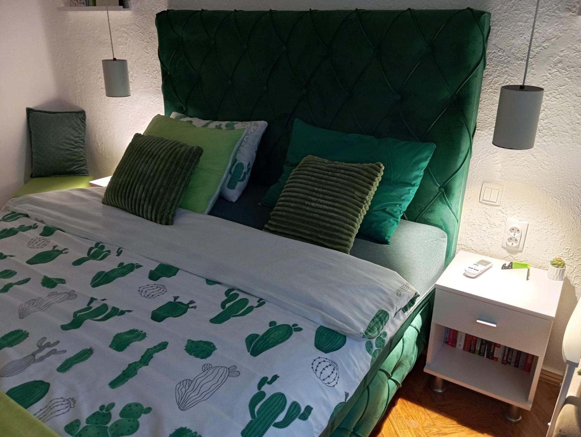 Green Cactus Rooms - Unique And Cozy House Senta Esterno foto