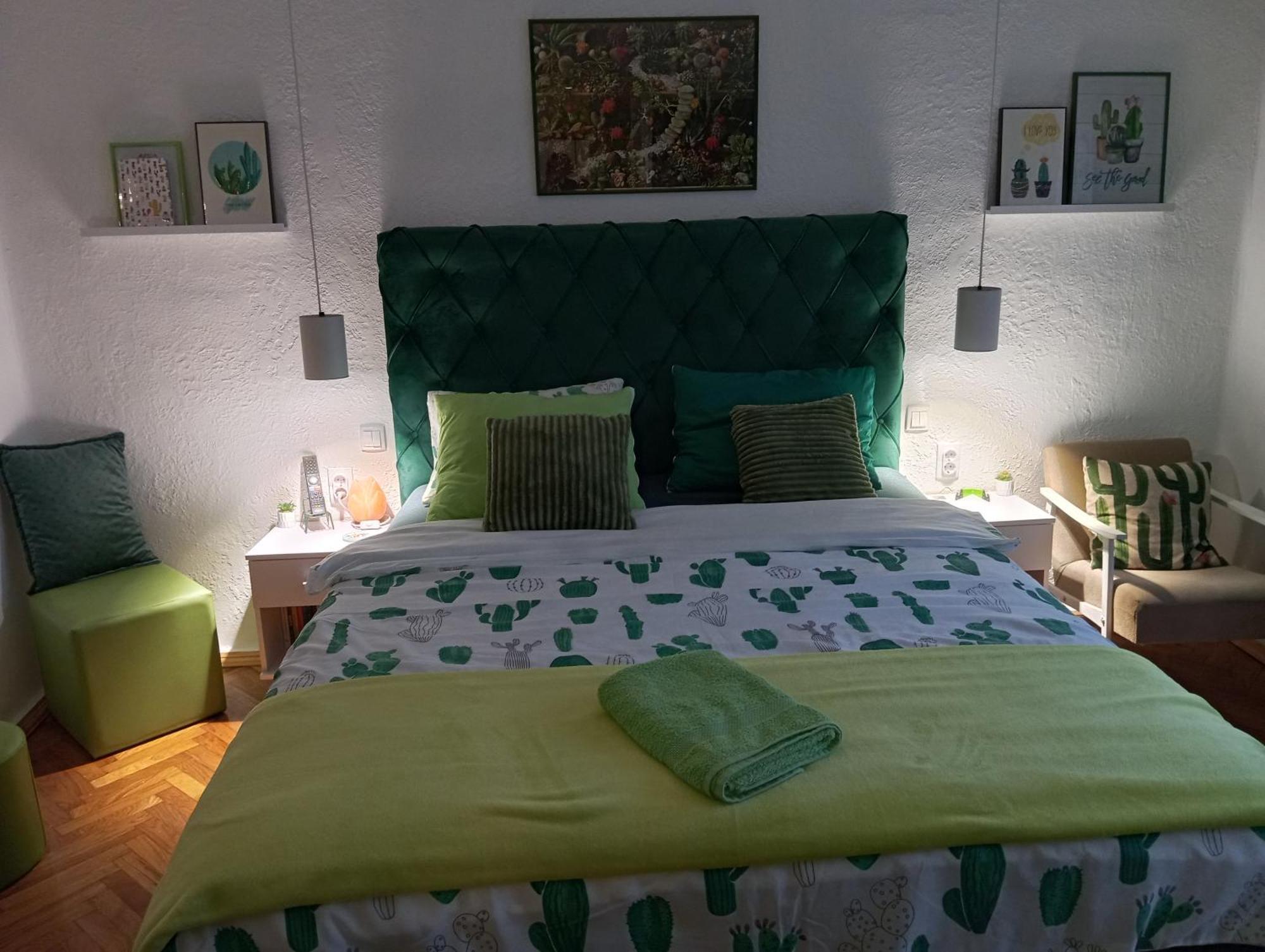 Green Cactus Rooms - Unique And Cozy House Senta Esterno foto